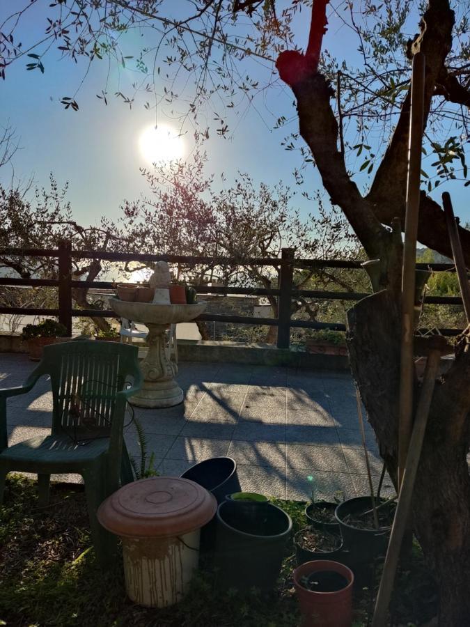 Casa Elvira Leilighet Seglia San Bernardo Eksteriør bilde